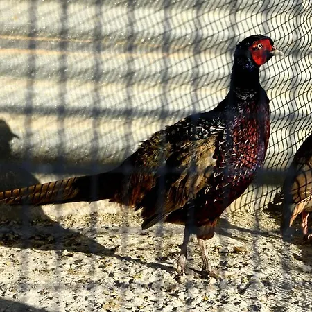 فندق Farm Mikro Metochi